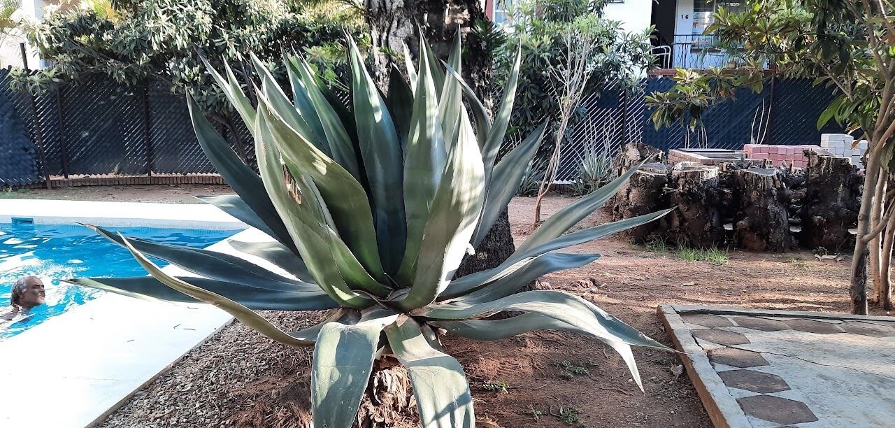 Photo of Outdoor in Reforma