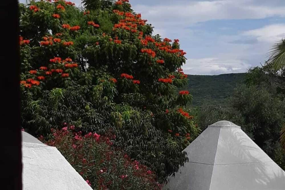 Photo of Bedroom in Tepeojuma