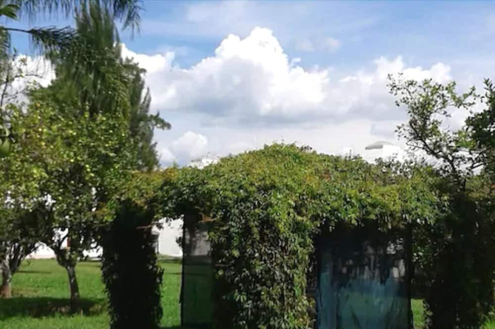Photo of Outdoor in Tepeojuma