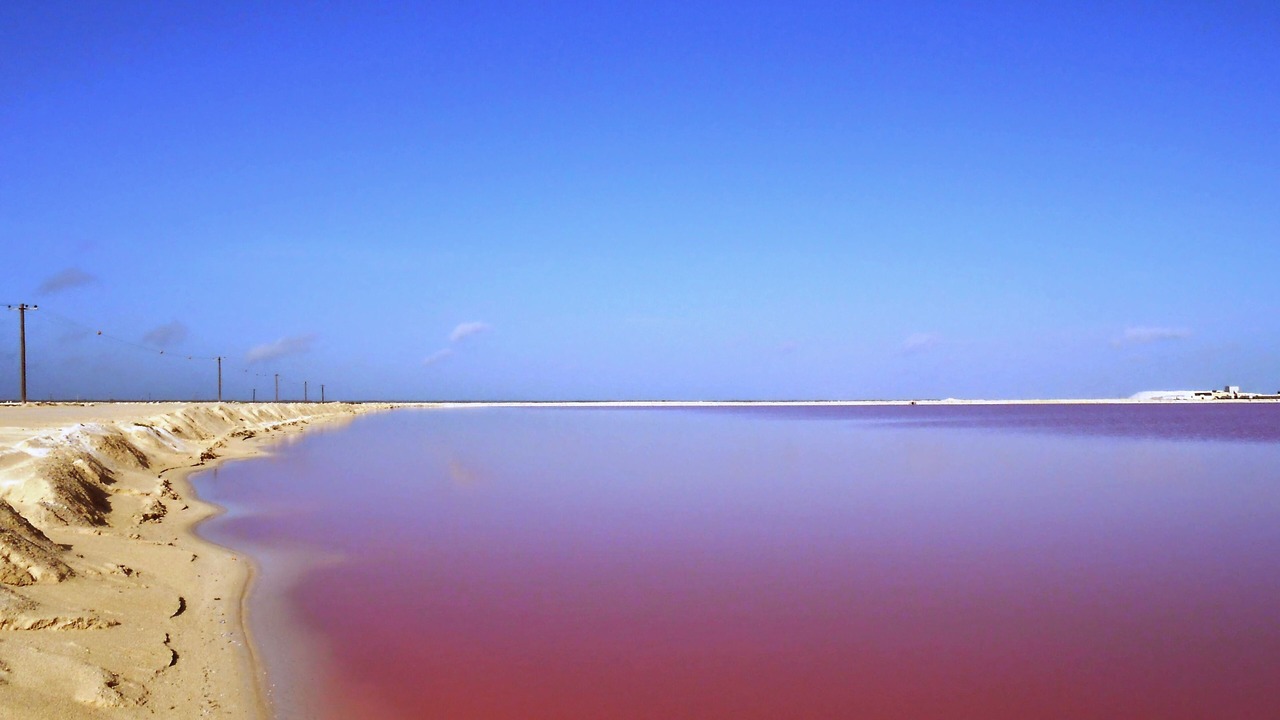 Photo of Others in Rio Lagartos
