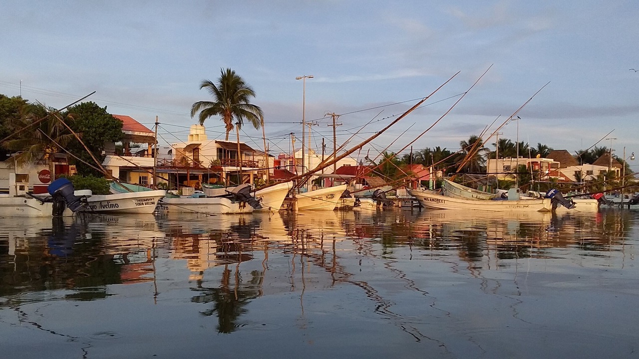 Photo of Outdoor in Rio Lagartos