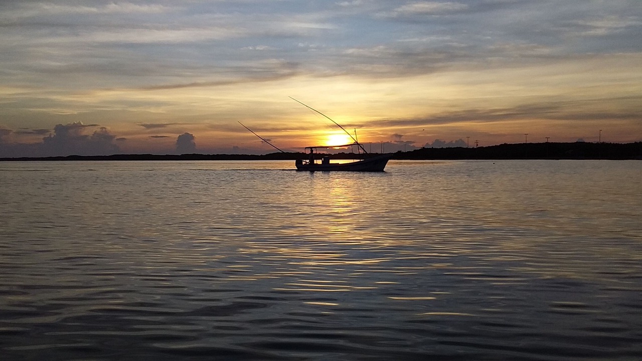 Photo of Others in Rio Lagartos