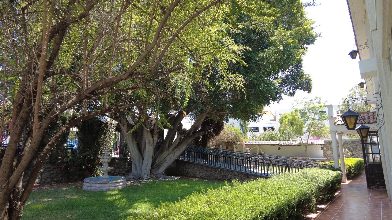 Photo of Outdoor in San Juan del Rio