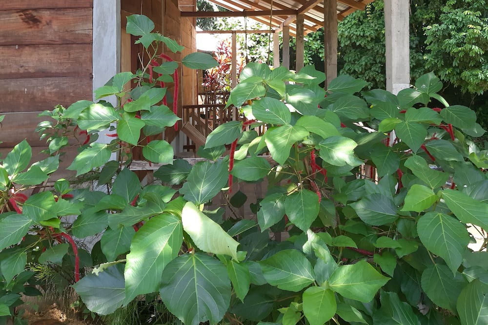 Photo of Outdoor in Lacanja