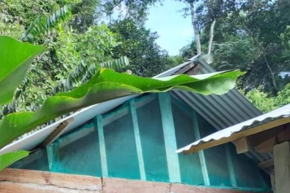 Photo of Outdoor in Lacanja