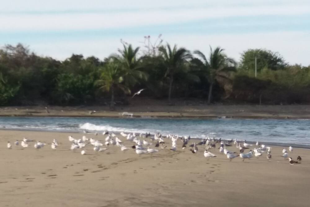 Photo of Others in Barra de Potosi