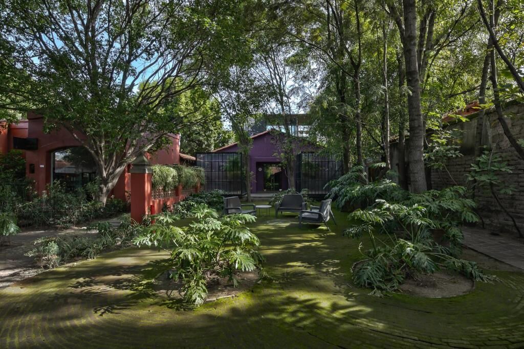 Photo of Outdoor in Puebla