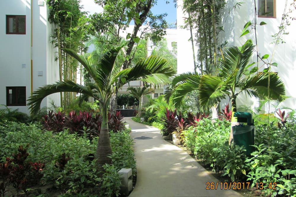 Photo of Outdoor in Quintana Roo