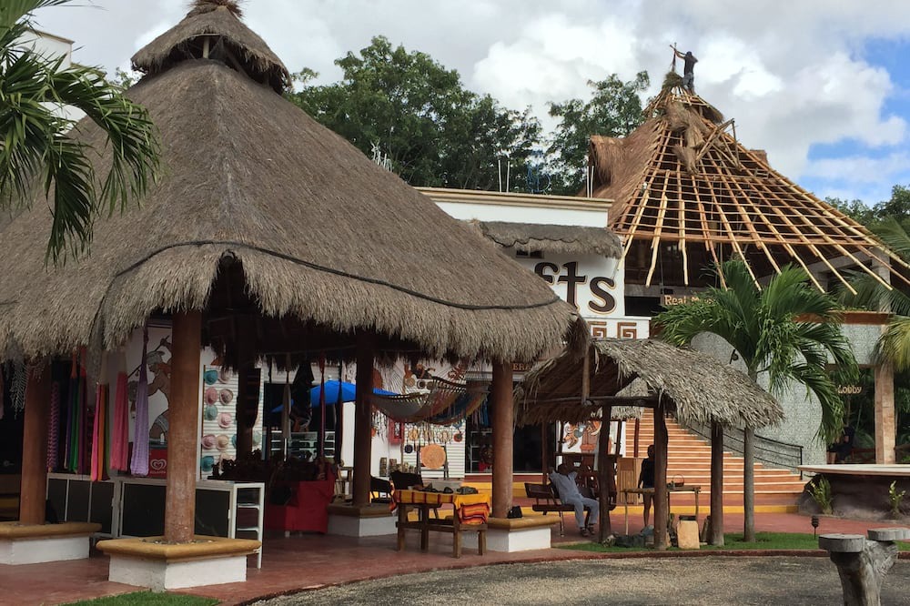 Photo of Others in Quintana Roo