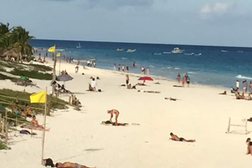 Photo of Others in Quintana Roo