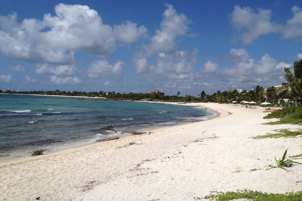 Photo of Others in Quintana Roo