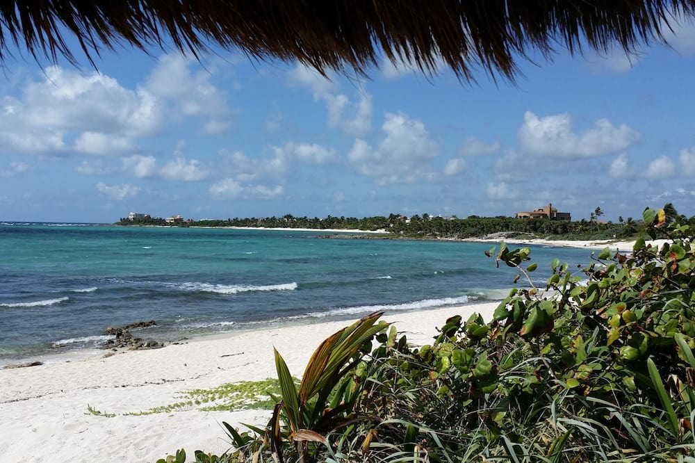 Photo of Others in Quintana Roo