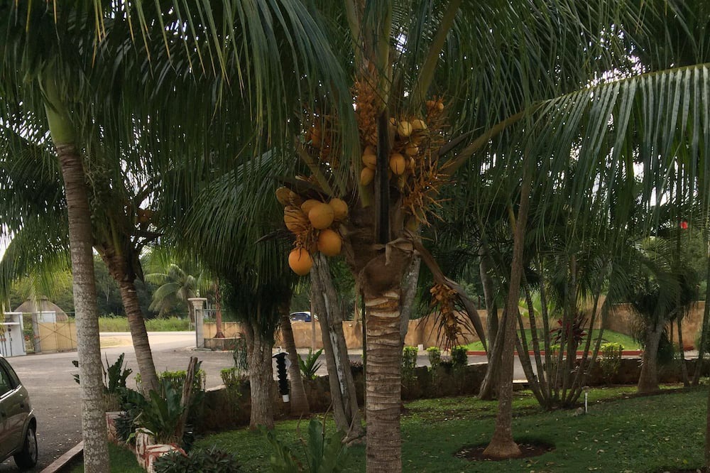 Photo of Outdoor in Quintana Roo