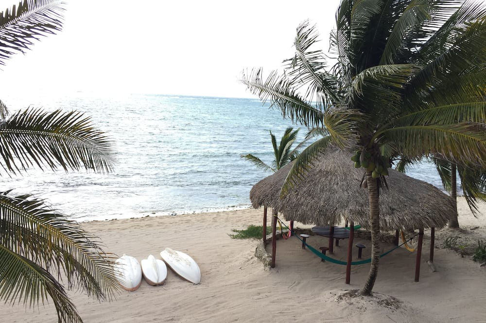 Photo of Others in Quintana Roo