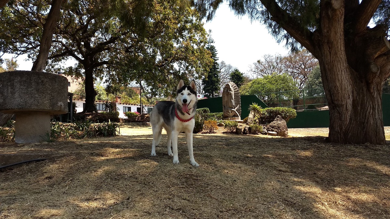 Photo of Outdoor in Santa Maria Ahuacatitlan