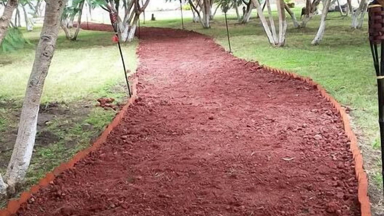 Photo of Outdoor in Atlixco