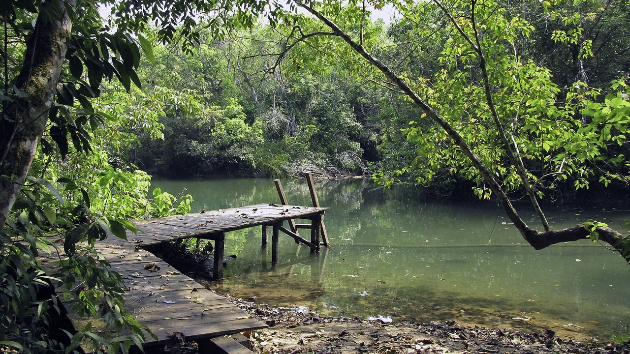 Photo of Outdoor in Lacanja