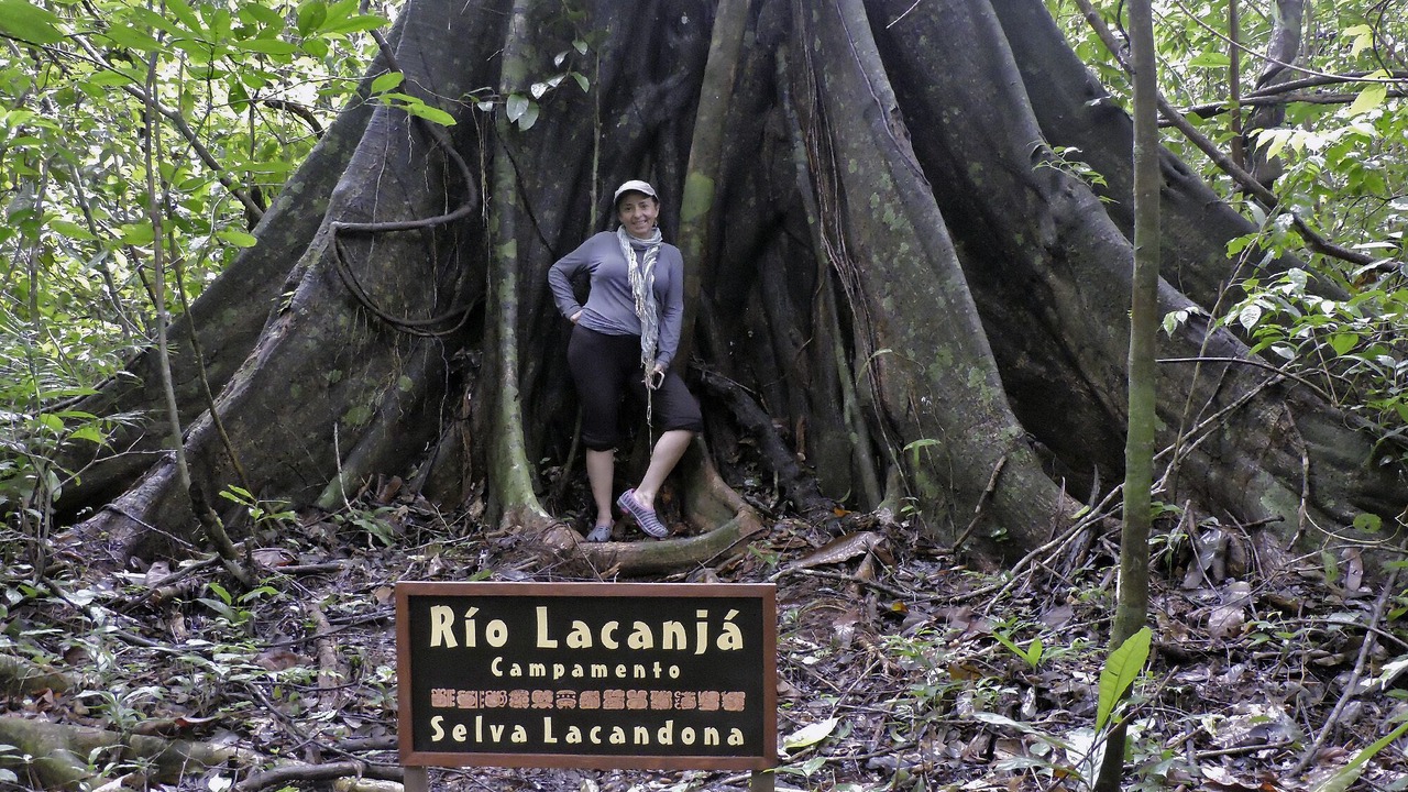 Photo of Others in Lacanja
