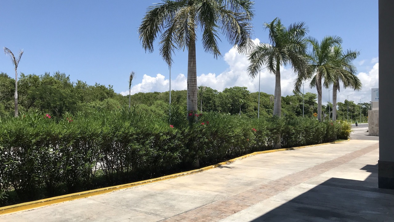 Photo of Outdoor in Campeche