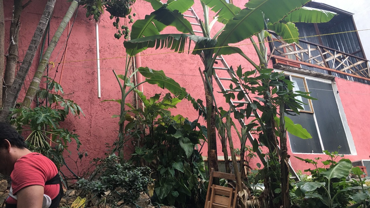 Photo of Outdoor in Oaxaca