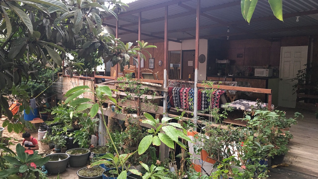 Photo of Outdoor in Oaxaca
