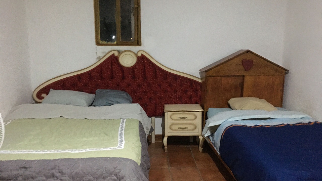 Photo of Others in Oaxaca