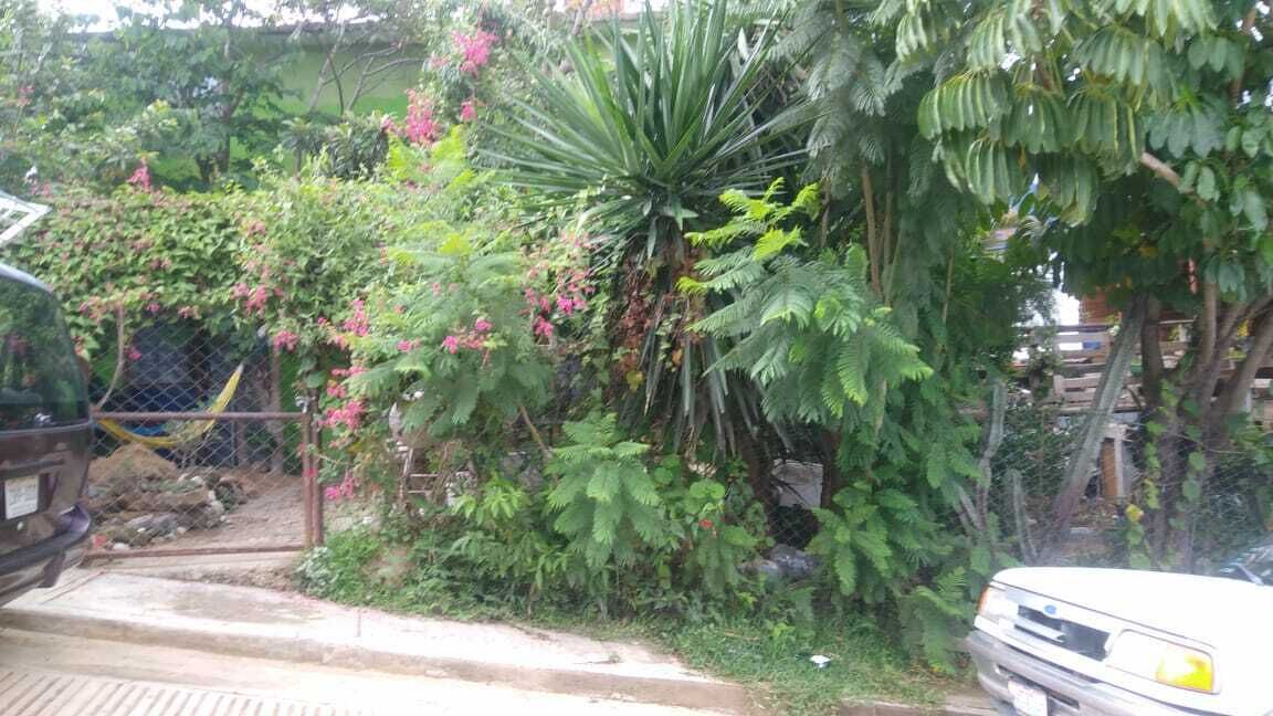 Photo of Outdoor in Oaxaca