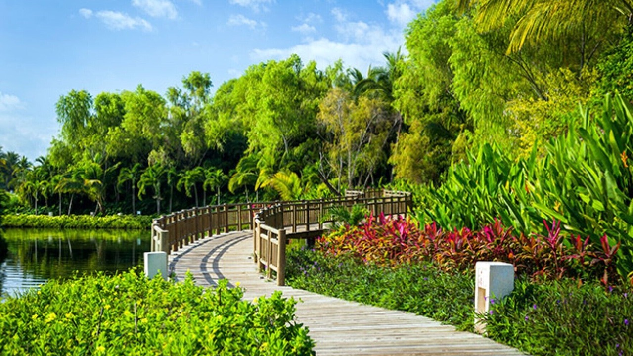 Photo of Outdoor in Seybaplaya