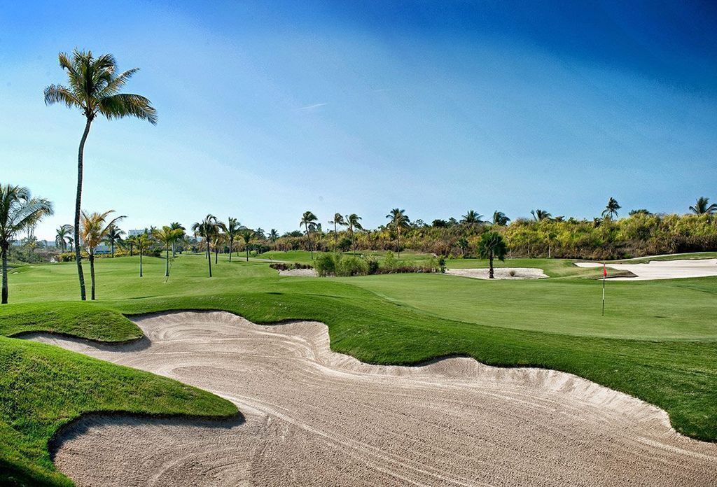 Photo of Others in Nuevo Vallarta