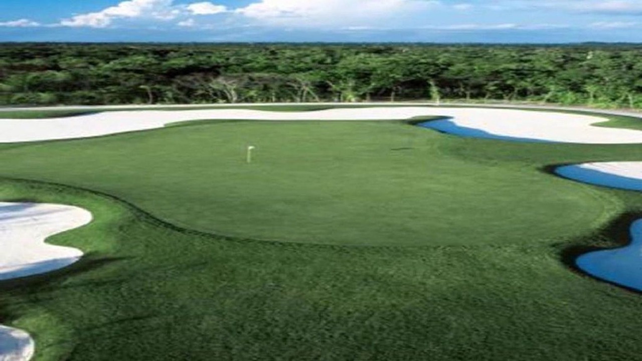 Photo of Others in Nuevo Vallarta