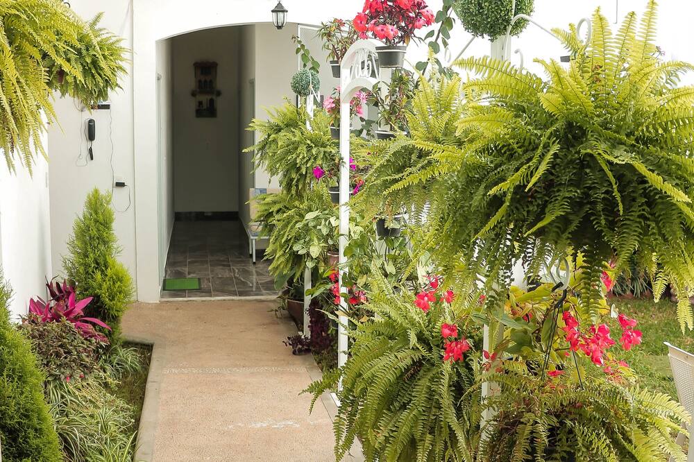 Photo of Outdoor in San Luis Acatlan