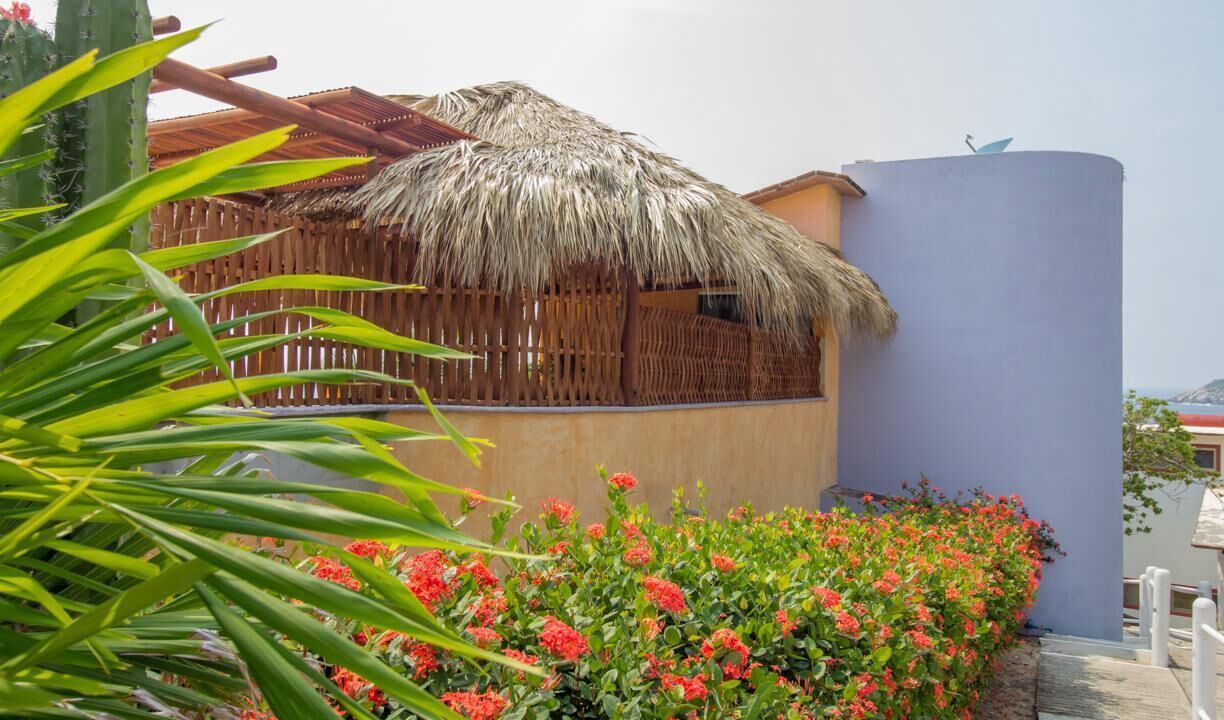 Photo of Outdoor in Salchi