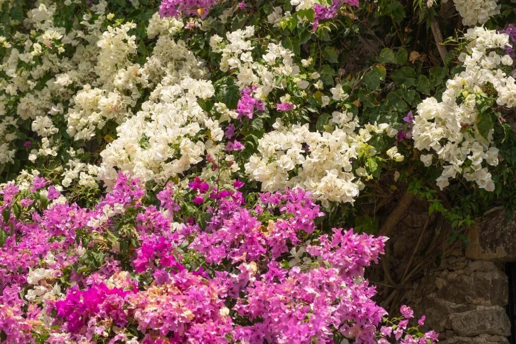 Photo of Outdoor in San Juan del Rio