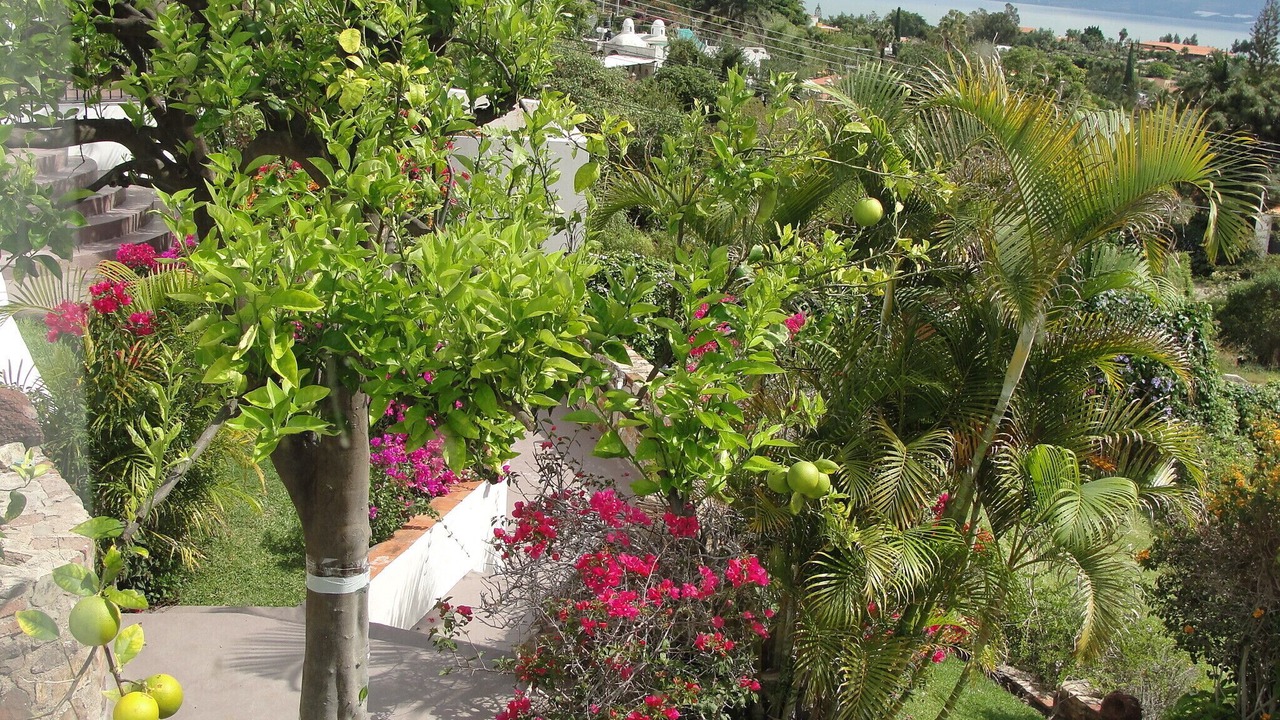 Photo of Outdoor in Raquet Club