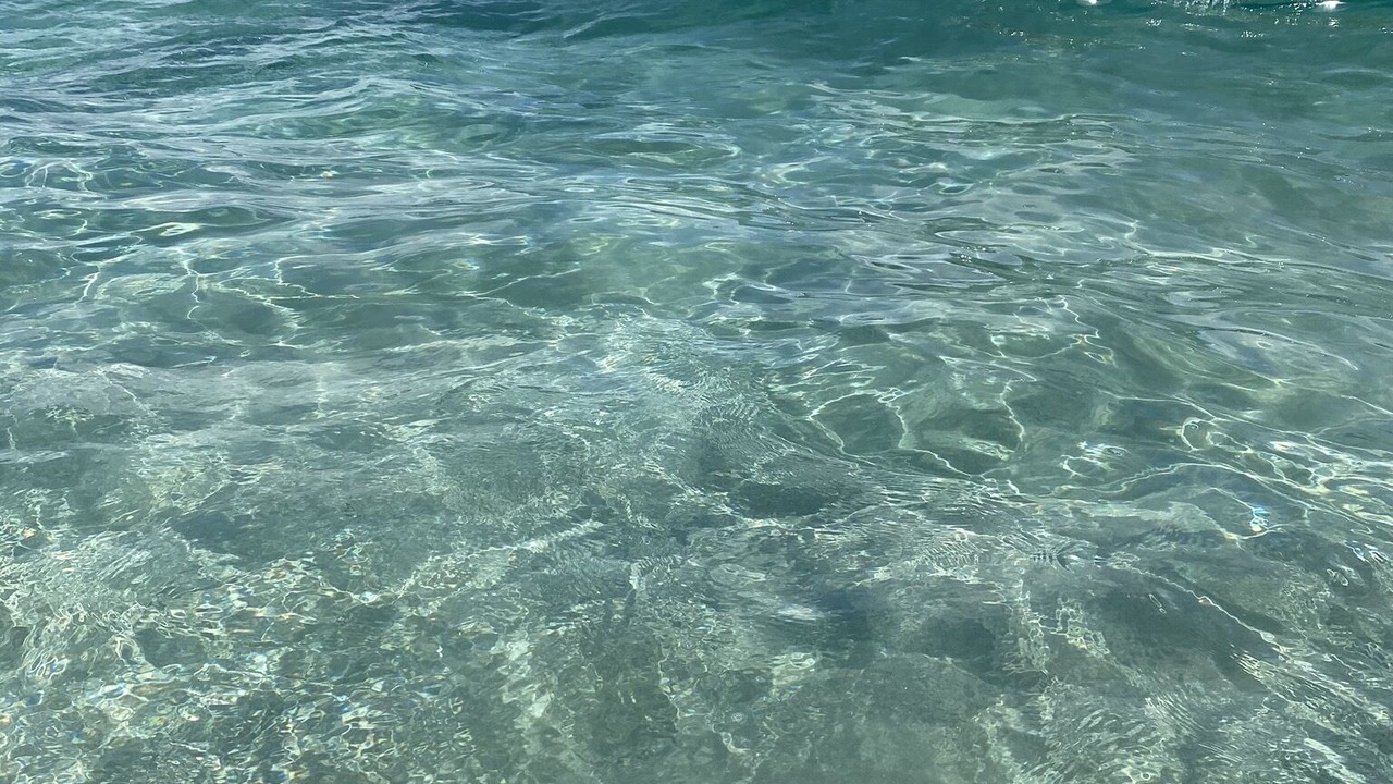 Photo of Others in Punta Negra