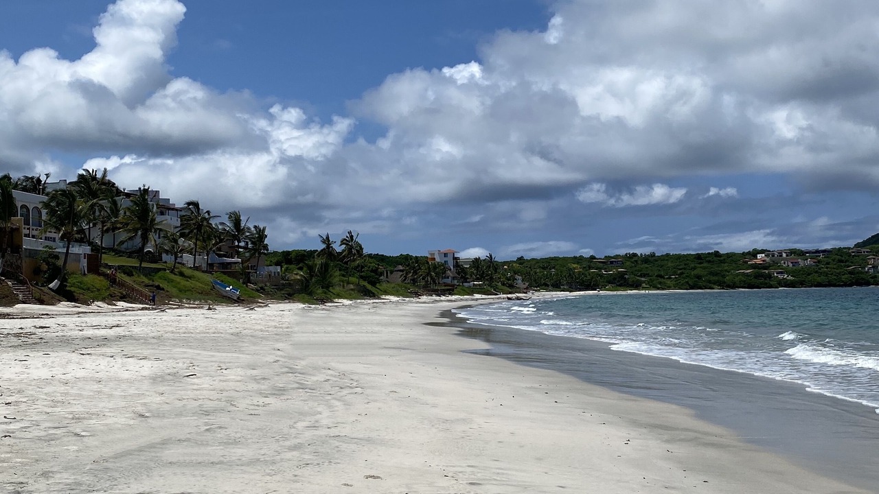 Photo of Others in Punta Negra