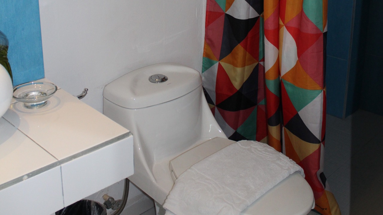 Photo of Bathroom in Downtown Culiacan