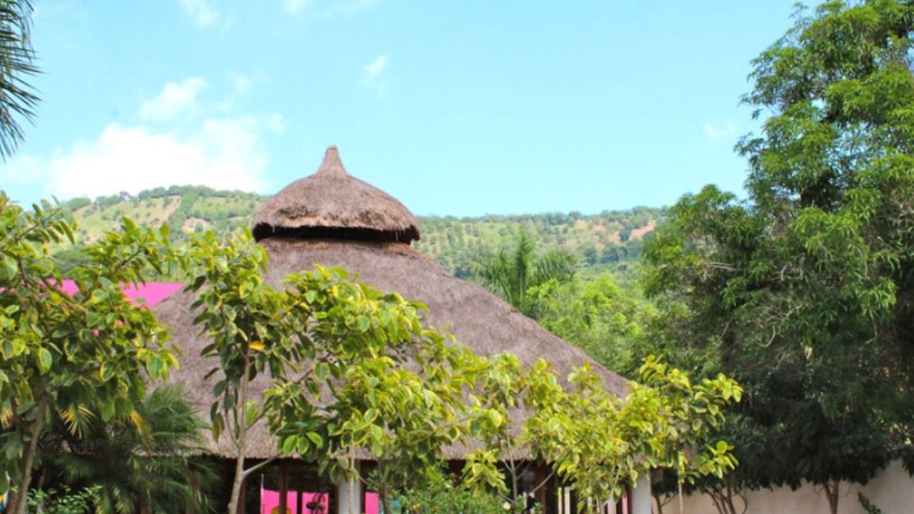 Photo of Outdoor in Matlapa