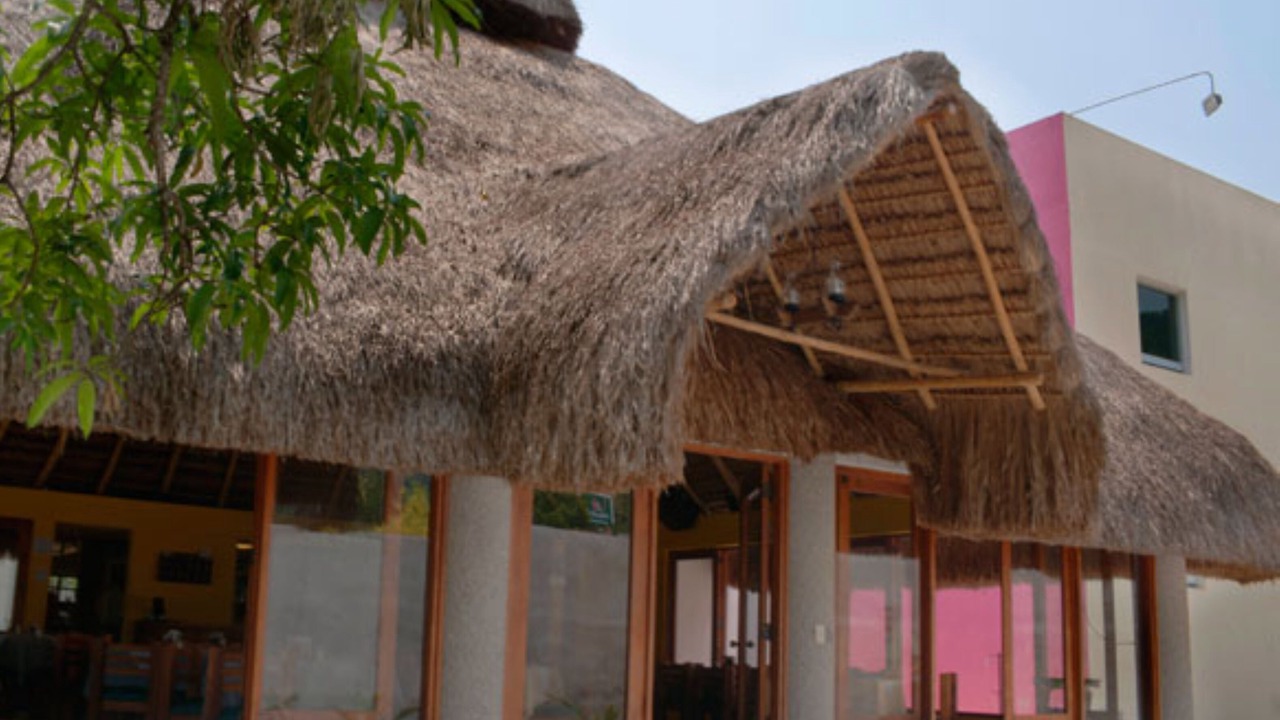 Photo of Outdoor in Matlapa