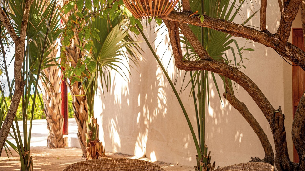 Photo of Outdoor in Mazunte