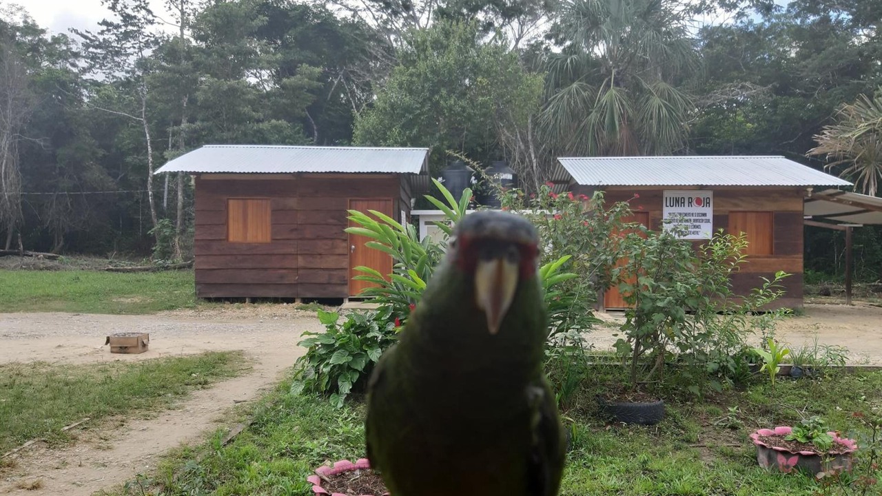 Photo of Outdoor in Lacanja