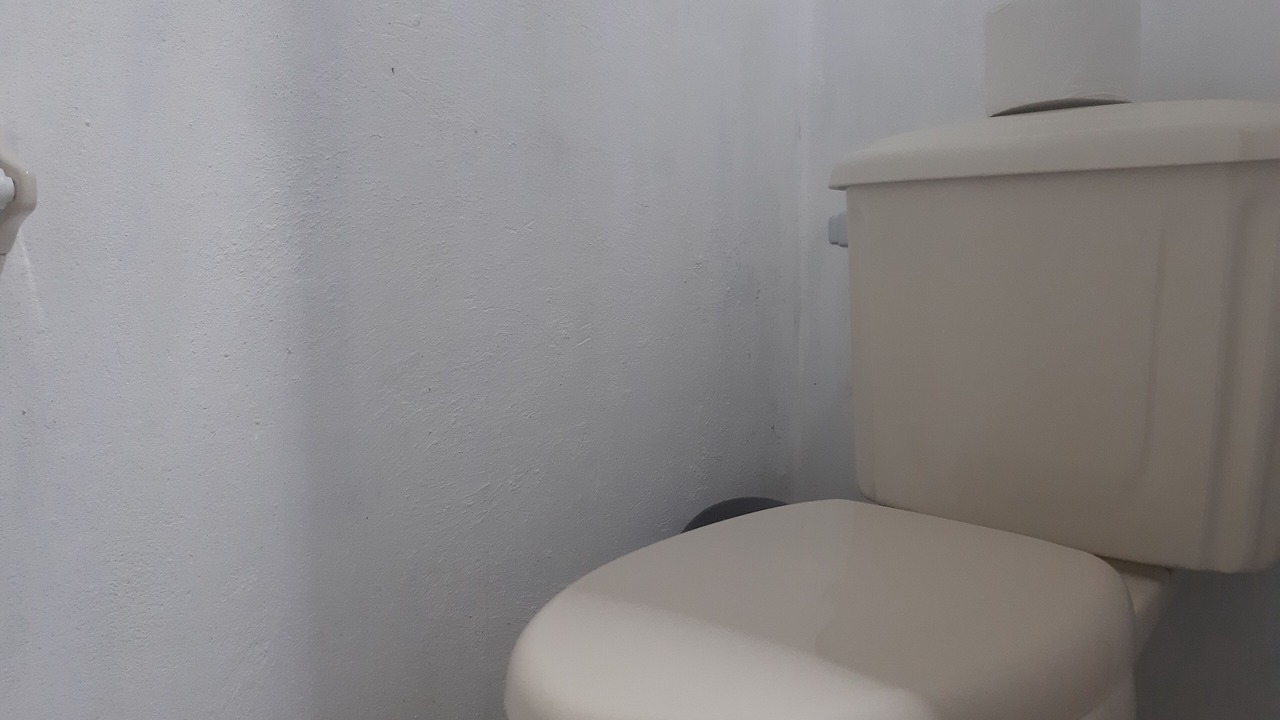 Photo of Bathroom in Lacanja