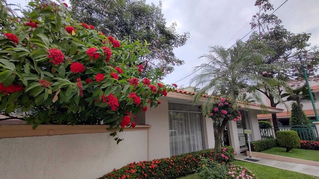 Photo of Outdoor in San Juan Bautista Tuxtepec