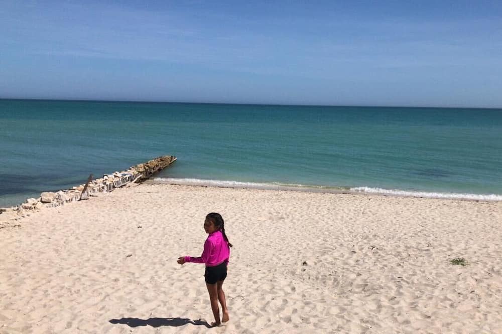 Photo of Others in Chuburna Puerto