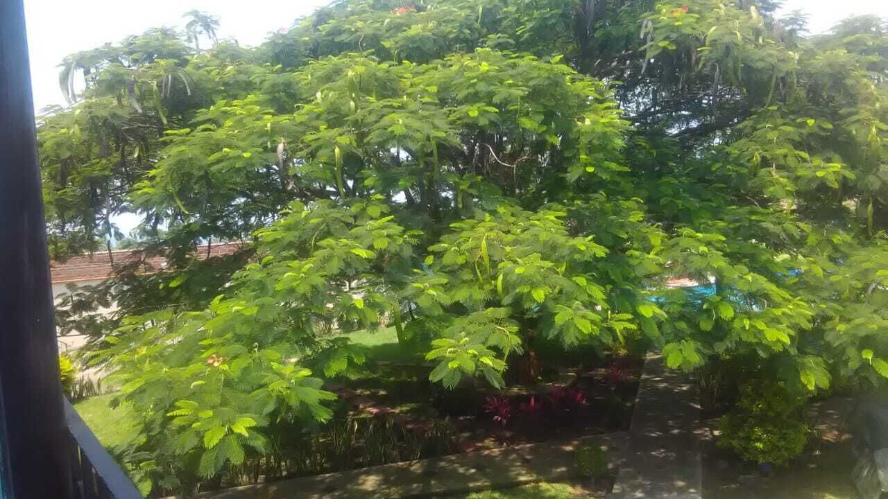 Photo of Outdoor in Tlayacapan