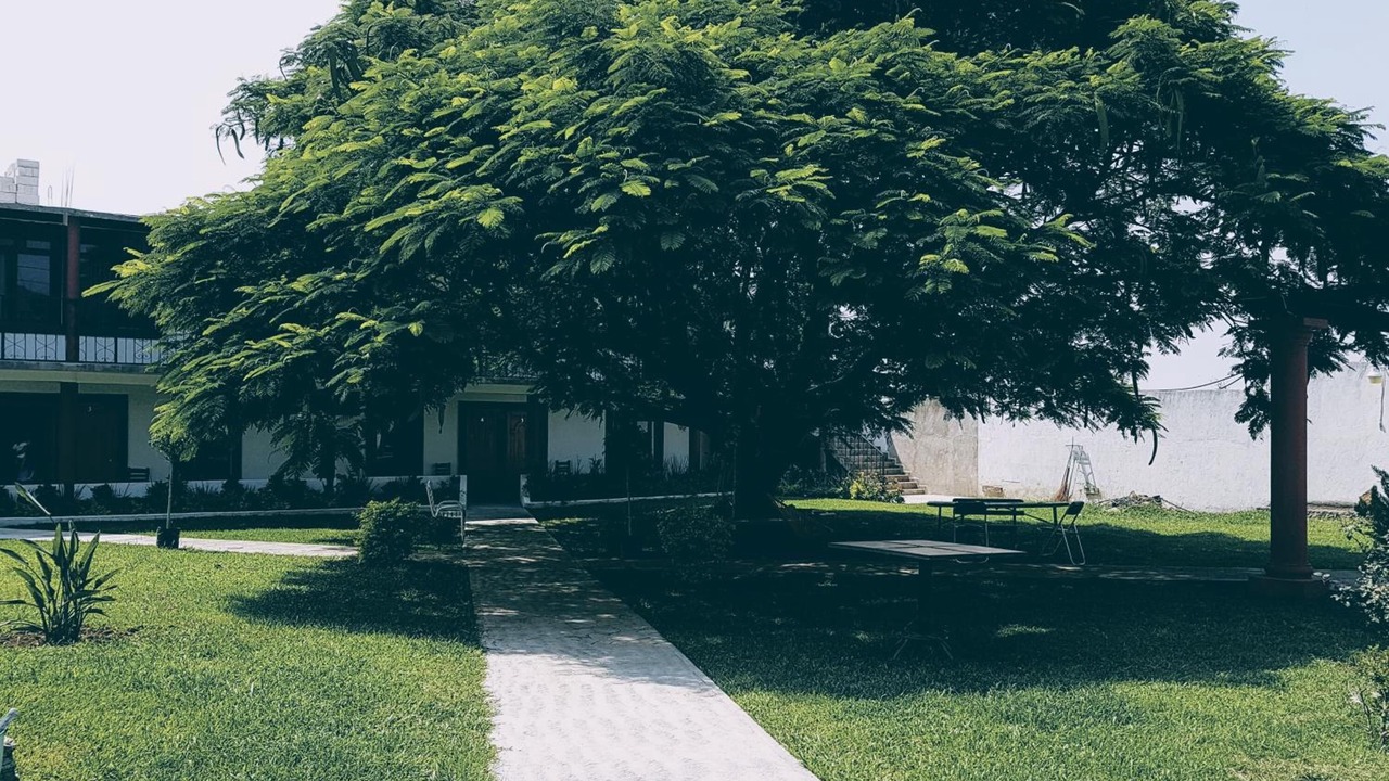 Photo of Outdoor in Tlayacapan