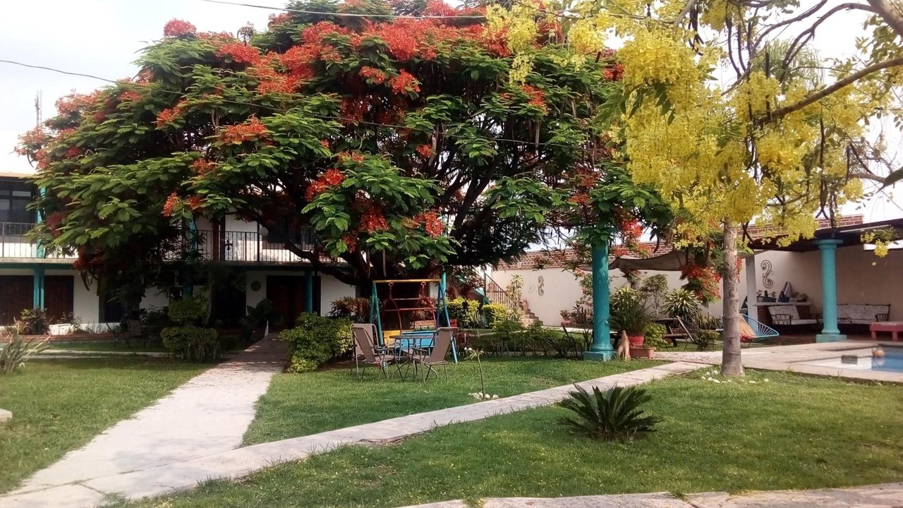 Photo of Outdoor in Tlayacapan