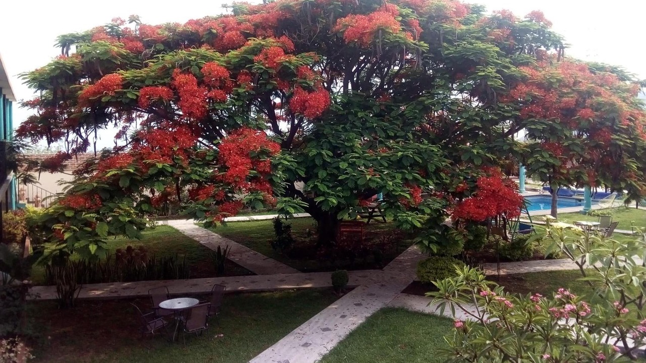 Photo of Outdoor in Tlayacapan