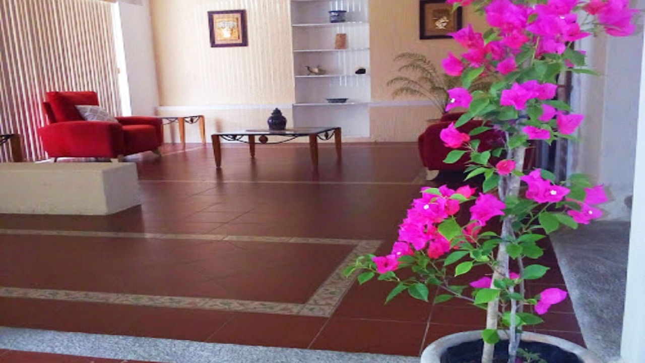 Photo of Patio Balcony in Banderilla