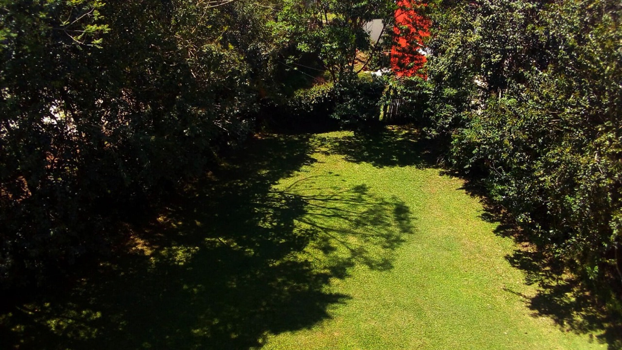 Photo of Patio Balcony in Banderilla
